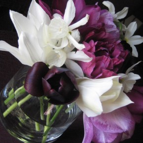 Cutflowers from Bulbs