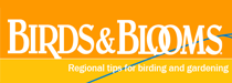 birds and blooms blog