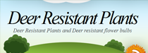 dee resistant bulbs