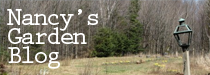 nancy's garden blog