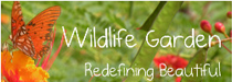 wildlife garden