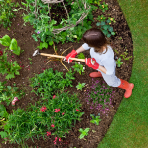 Garden Makeover: Bridget Edition