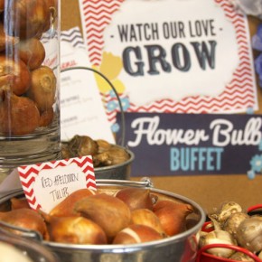 Planning Bulbs into Your Next Event