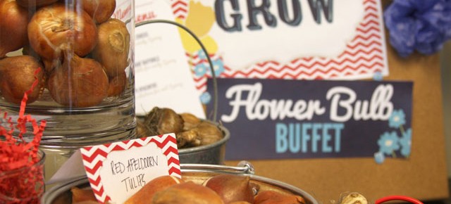 Planning Bulbs into Your Next Event