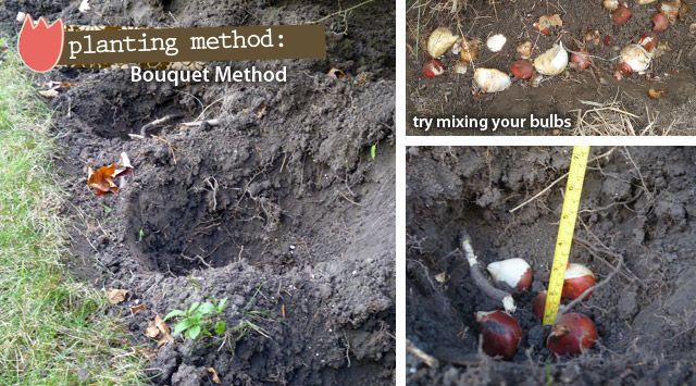 Bouquet Planting Method