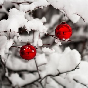 Christmas Blessings to You!