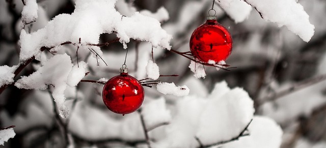 Christmas Blessings to You!