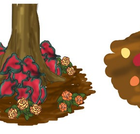 3 x 3 Garden #2: The Apricot Shade Trio