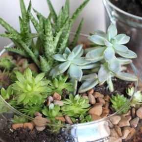 Bringing Life Indoors