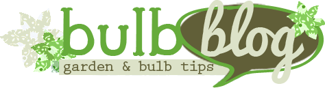Bulb Blog Logo