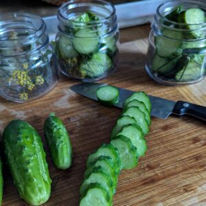 Sliced Cucumbers for Pickles